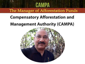 chandra-is-new-ceo-national-compensatory-afforestation