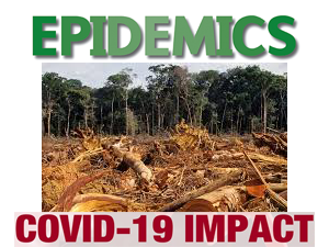 linkage-seen-between-deforestation-and-epidemics