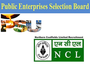 ncl-rajneesh-narayan-selected-for-director-finance-post