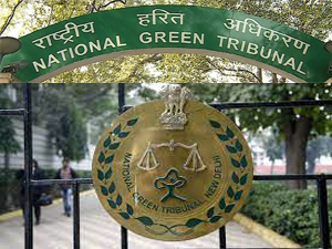 ex-tn-cs-clears-legal-hurdles-to-her-appointment-on-ngt