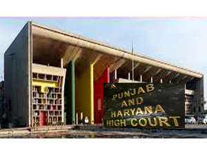 eleven-additional-judges-appointed-in-punjab-haryana-high-court